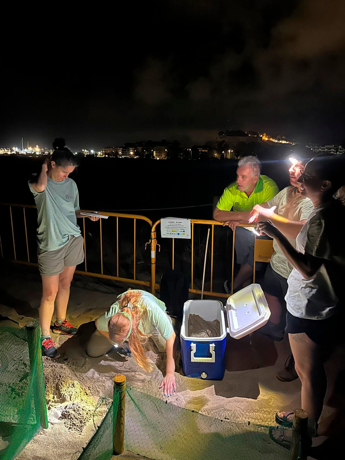 Cuarta puesta de la tortuga Diana en Dénia 03