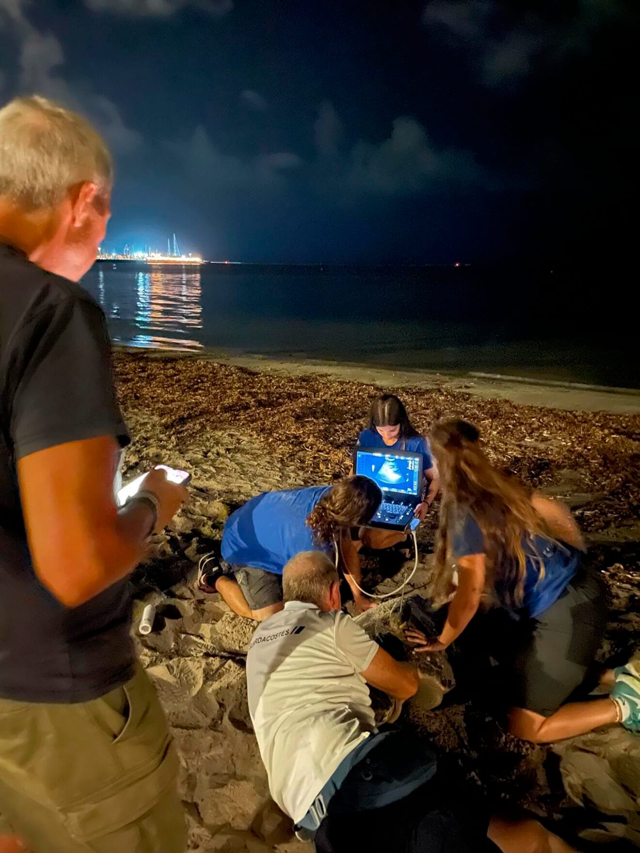 Cuarta puesta de la tortuga Diana en Dénia 06