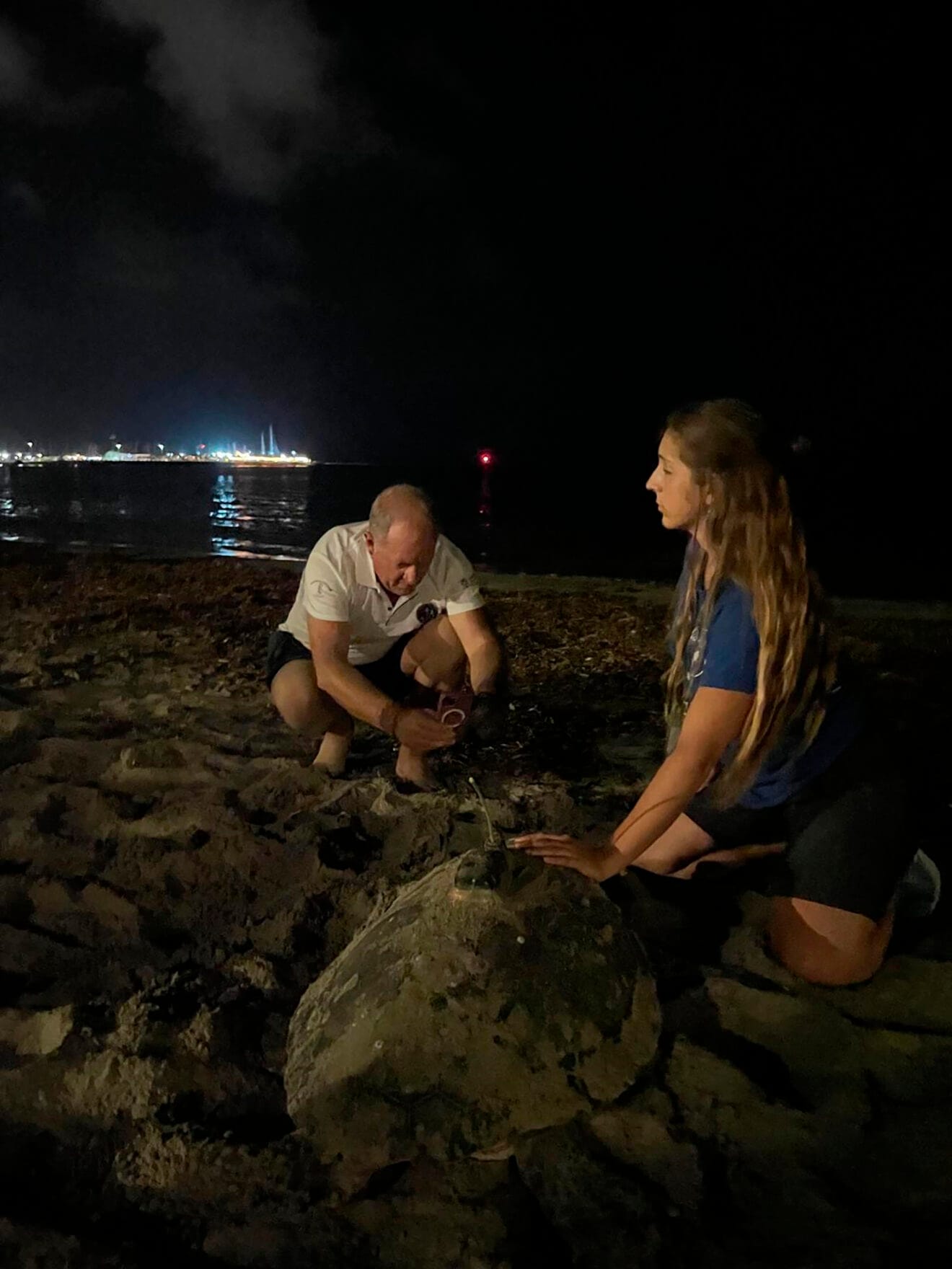 Cuarta puesta de la tortuga Diana en Dénia 12