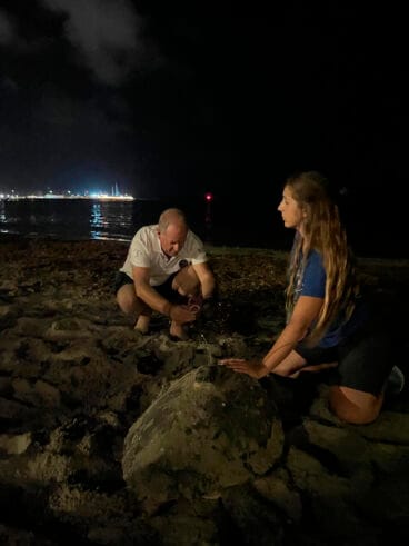 Cuarta puesta de la tortuga Diana en Dénia 12