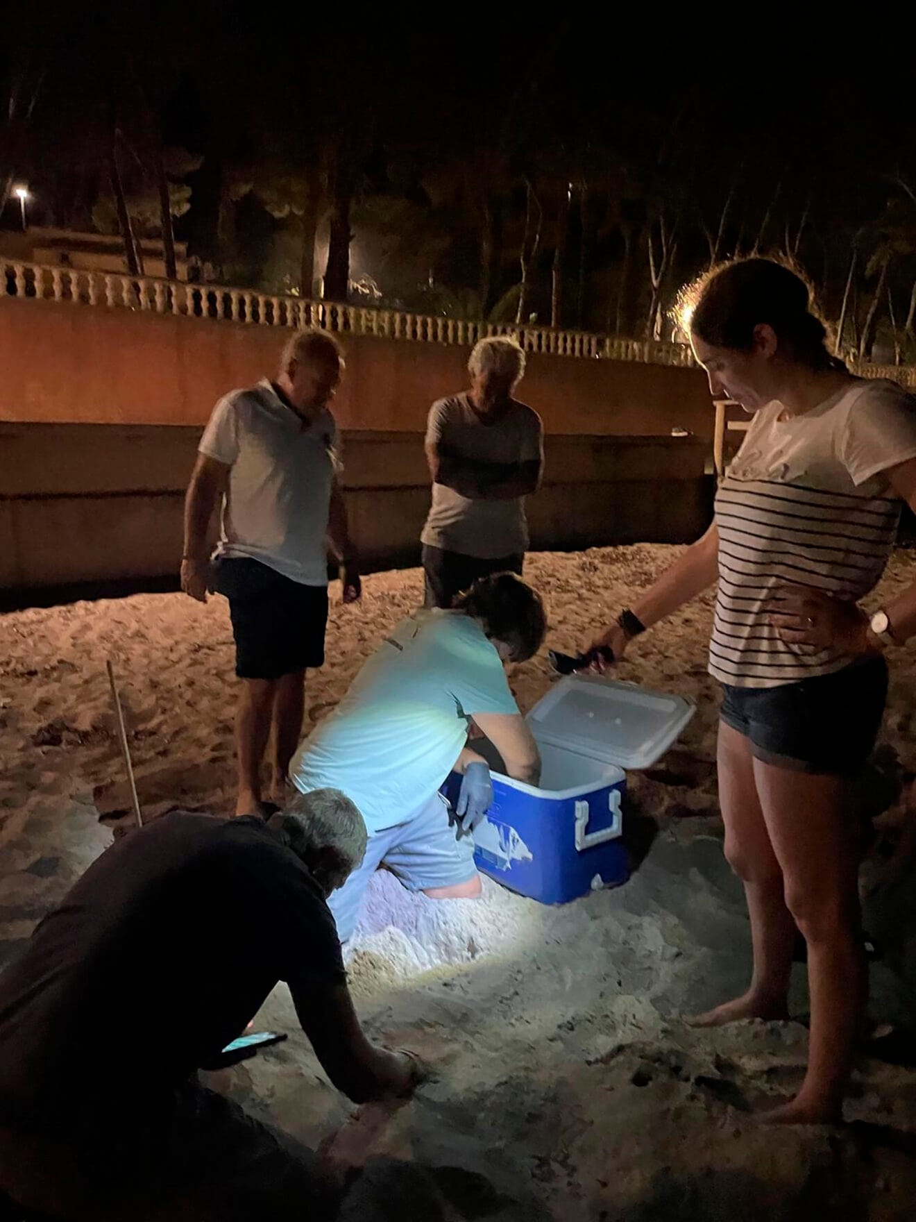 Cuarta puesta de la tortuga Diana en Dénia 13