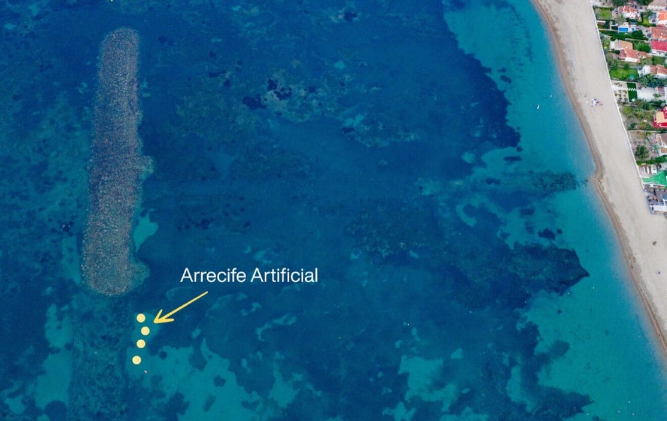 El proyecto consiste en la instalación de 20 unidades modulares junto a la escollera sumergida de la zona del Blay Beach