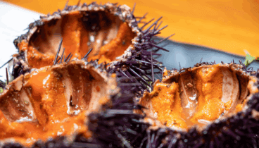 Exquisiteces del mar en Restaurante Mena