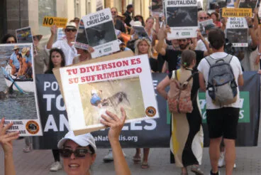 Manifestación contra los Bous a la Mar en Dénia 14