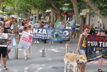 Manifestación contra los Bous a la Mar en Dénia 20