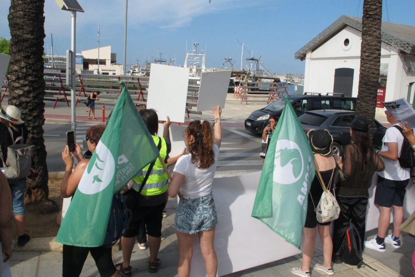 Manifestación contra los Bous a la Mar en Dénia 29