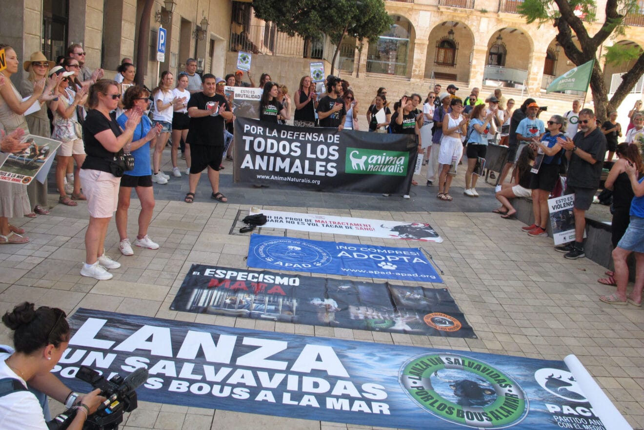 Manifestación contra los Bous a la Mar en Dénia 3