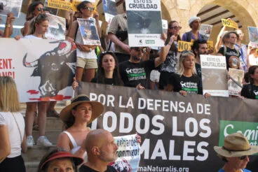 Manifestación contra los Bous a la Mar en Dénia 7