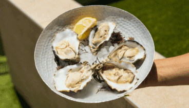 Mariscos frescos tratados con sencillez y respeto en la cocina de Aticcook