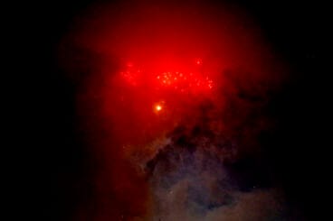 Mascletà nocturna de las Fiestas de Dénia 15