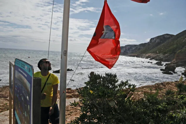 Imagen: Oleaje y bandera roja en una playa de Dénia en 2024