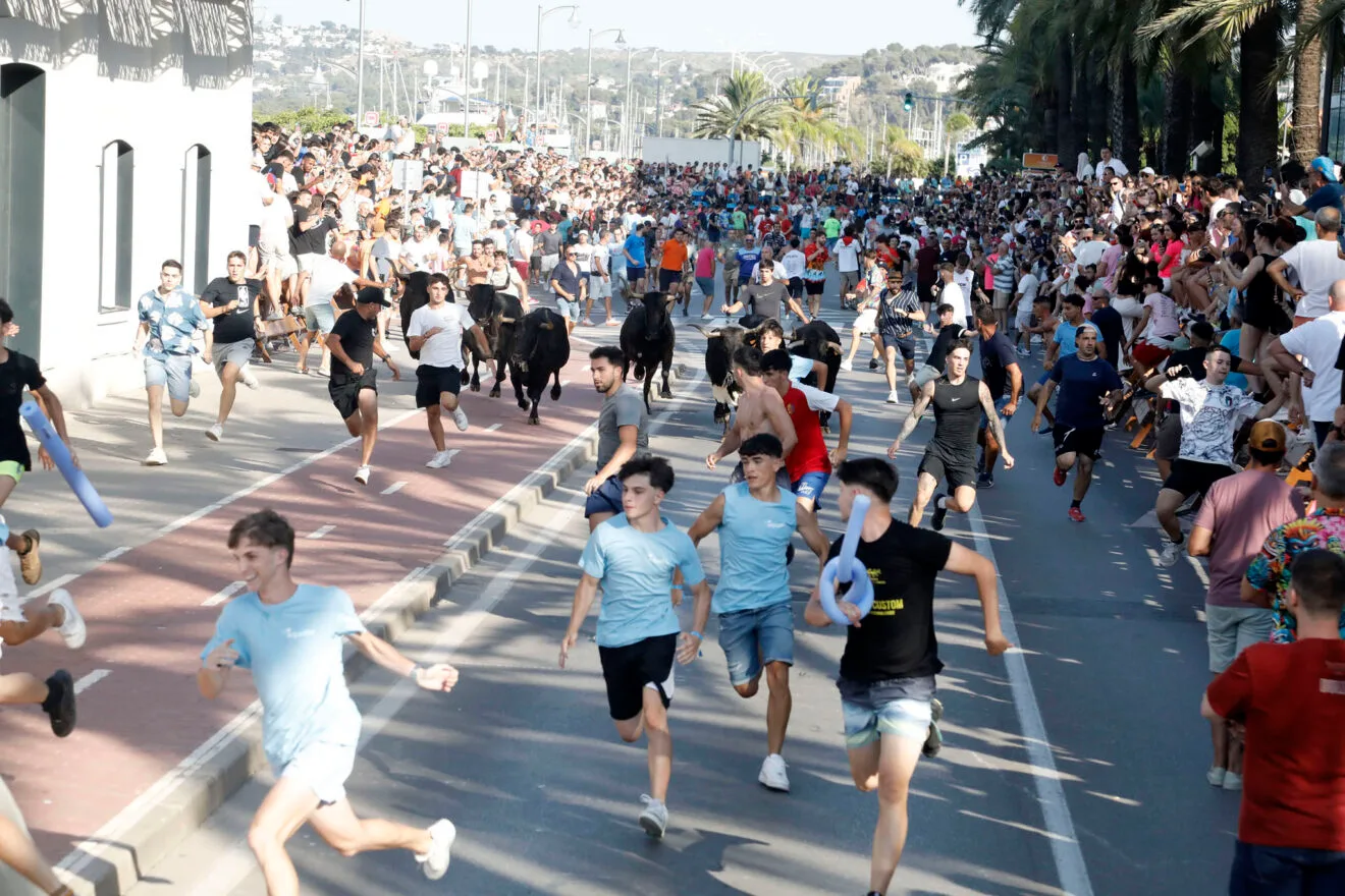 Primera entrada de toros de las fiestas de Dénia 2025 14