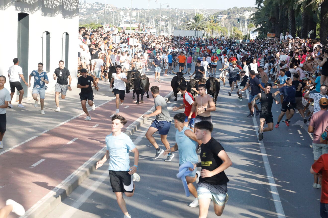 Primera entrada de toros de las fiestas de Dénia 2025 15