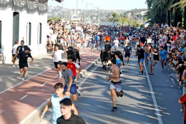 Primera entrada de toros de las fiestas de Dénia 2025 17