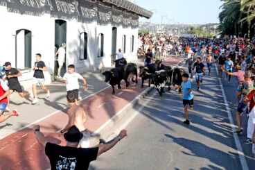 Primera entrada de toros de las fiestas de Dénia 2025 20