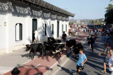 Primera entrada de toros de las fiestas de Dénia 2025 22