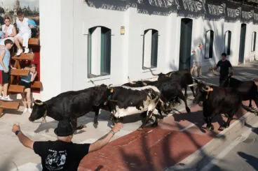 Primera entrada de toros de las fiestas de Dénia 2025 24