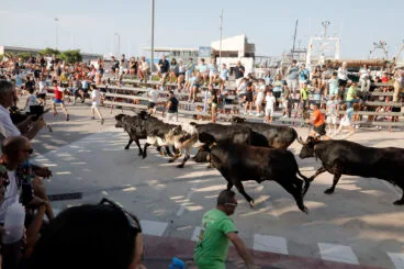 Primera entrada de toros de las fiestas de Dénia 2025 26