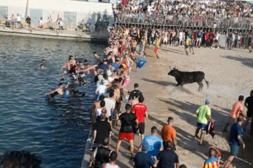 Primera entrada de toros de las fiestas de Dénia 2025 31