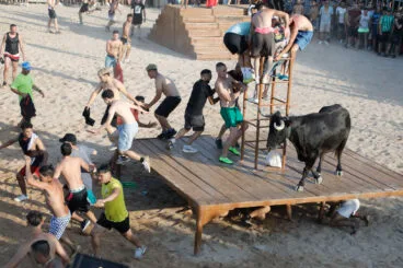 Primera entrada de toros de las fiestas de Dénia 2025 41