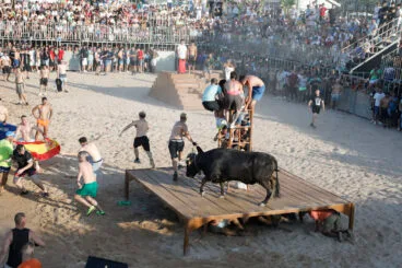 Primera entrada de toros de las fiestas de Dénia 2025 43