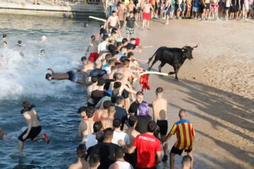 Primera entrada de toros de las fiestas de Dénia 2025 44