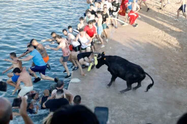 Primera entrada de toros de las fiestas de Dénia 2025 46