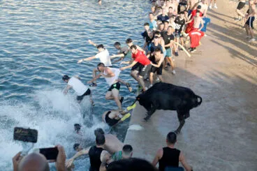Primera entrada de toros de las fiestas de Dénia 2025 48