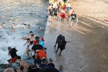Primera entrada de toros de las fiestas de Dénia 2025 50