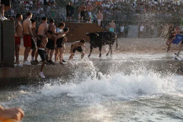Primera entrada de toros de las fiestas de Dénia 2025 55