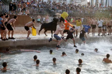 Primera entrada de toros de las fiestas de Dénia 2025 56