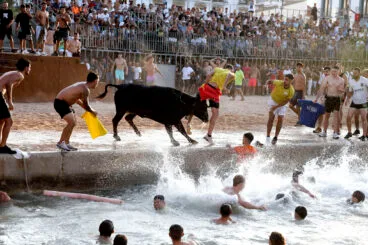 Primera entrada de toros de las fiestas de Dénia 2025 57