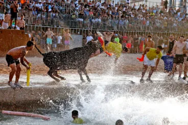 Primera entrada de toros de las fiestas de Dénia 2025 58