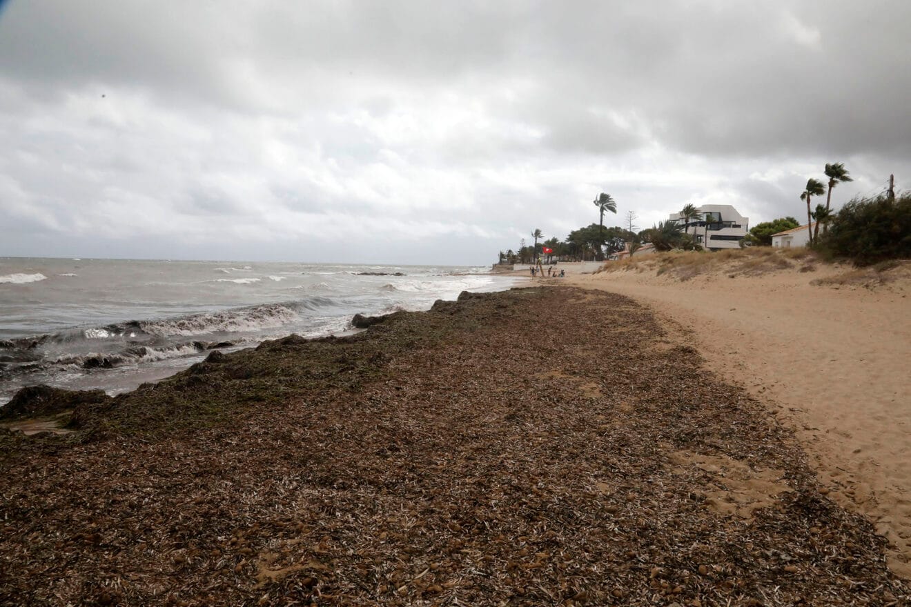 Primeras horas del temporal en Dénia en julio de 2025 47