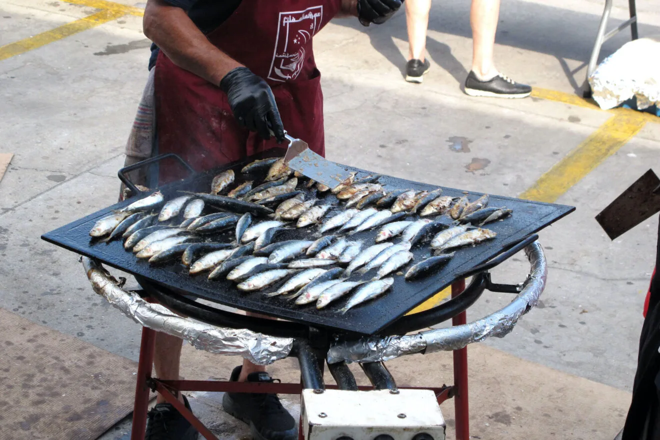 Reparto de sardinas en las Fiestas de Dénia 14