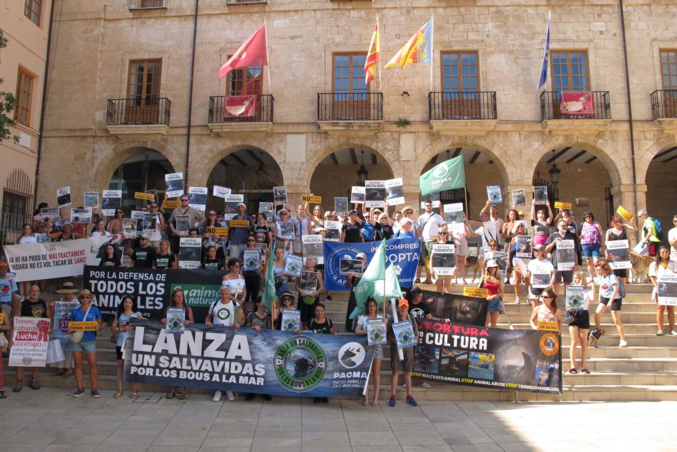 Última manifestación contra los Bous a la Mar en Dénia