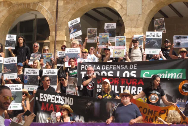 una manifestacion contra los bous a la mar en denia