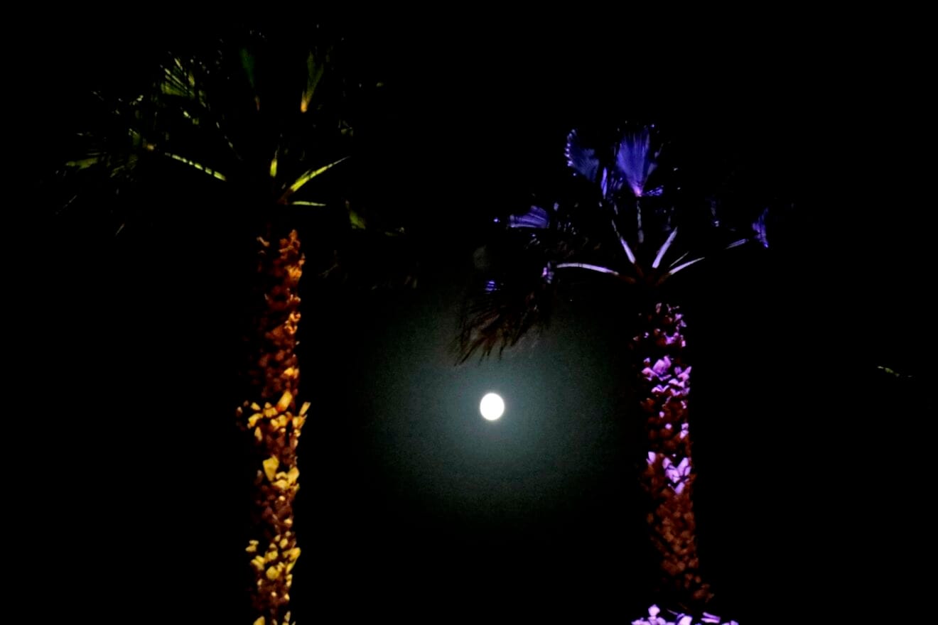 Concierto de Dársena Sound en Dénia 8