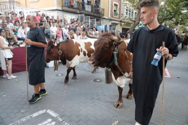 gran desfile de gala de moros y cristianos de denia de 2025 95