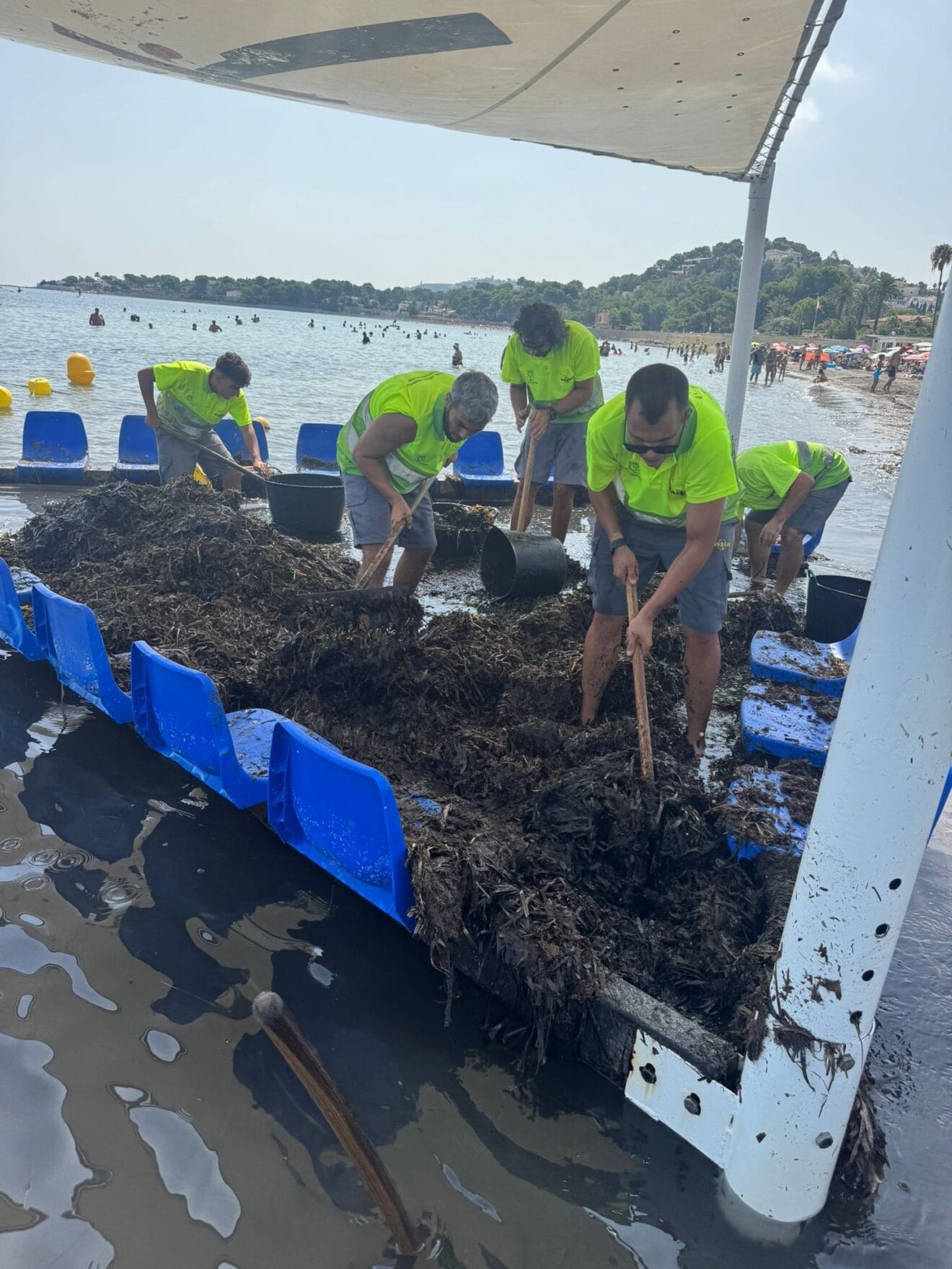 Operarios de limpieza trabajando en la retirada de la posidonia del lugar