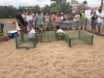 Voluntarios vigiando a las nuevas crías