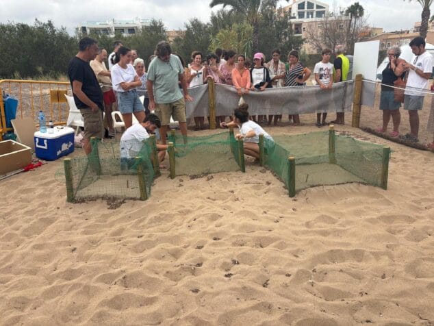 Imagen: Voluntarios vigiando a las nuevas crías