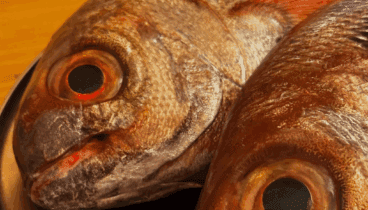 Álvaro Casanova Restaurante en Dénia cocina mediterránea