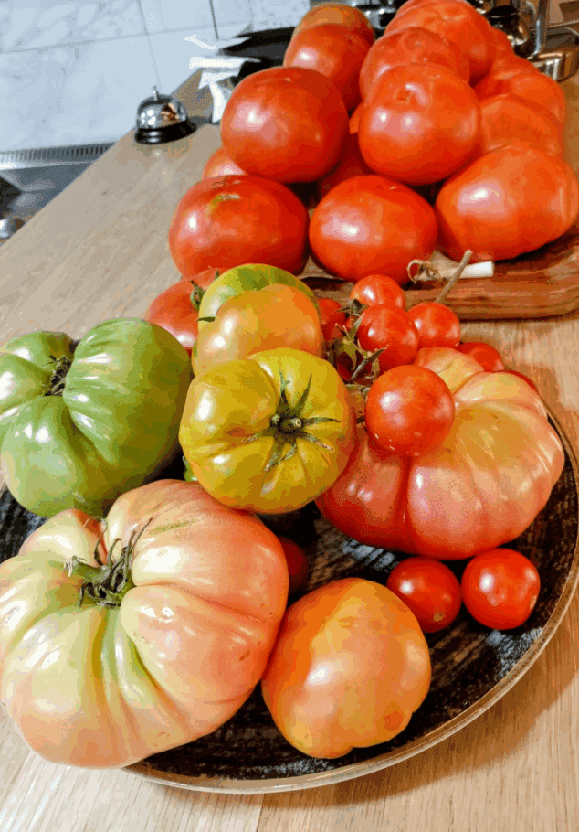 ambiente informal y platos con caracter