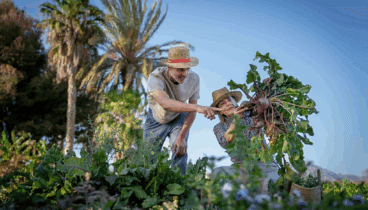 El huerto Terramón, espacio de sostenibilidad e inspiración en la cocina de Monastrell