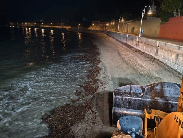 estado actual de la playa de la marineta cassiana