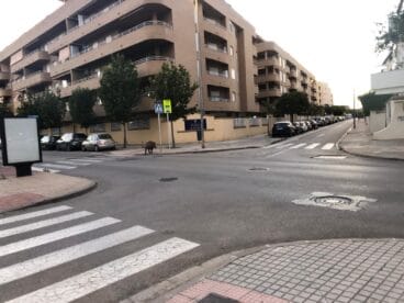 jabali en la avenida miguel hernandez