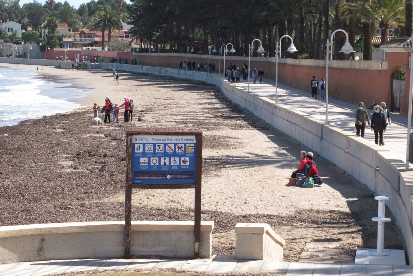 Playa de la Marineta Cassiana temporadas anteriores