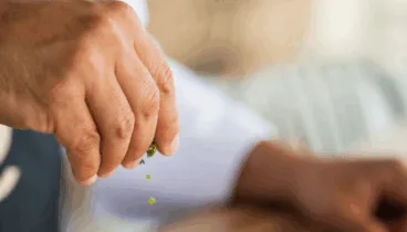 Platos espectaculares de la mano de profesionales