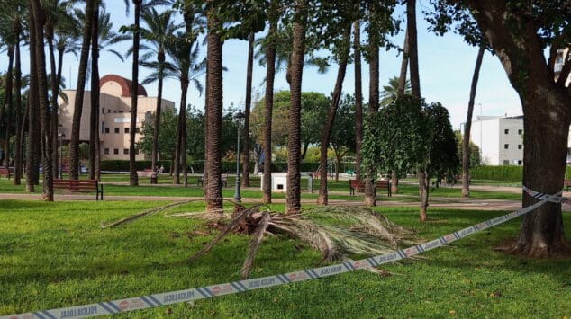 plaza de jaume i de denia acordonada por el viento